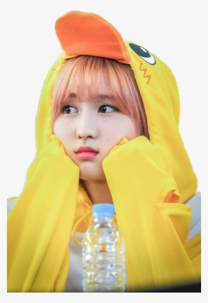 Momo Sticker - Pato Momo Twice