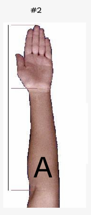 The Reason I Ask Is Because Brendan Schaub Has A Gjj - Wood