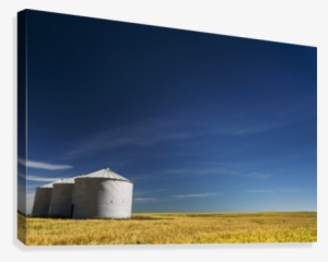 Large Metal Grain Bins In A Barley Field With Blue - Supplier Generic 0743312316719