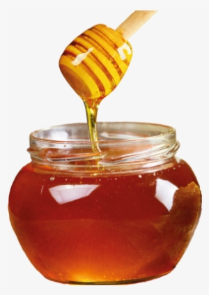 Functioning Of The Muscles - World Environment Day Food Related