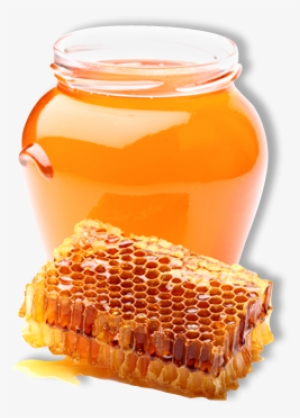 La Fête En Chiffres - Miel De Provenc