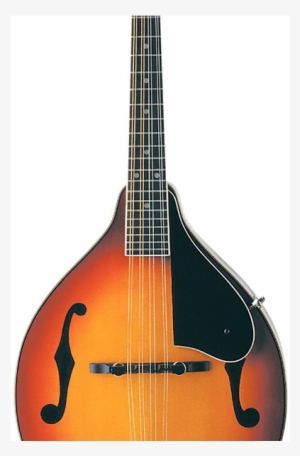 Washburn M1s Americana Series Solid Spruce Top A-style - Washburn M1s Acoustic Mandolin (sunburst)