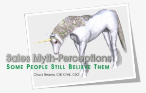 Sales Professionals Cause Customers To Buy - Unicorn