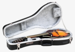 Abs Molded Mandolin Case Road Runner Rrmama - Viola