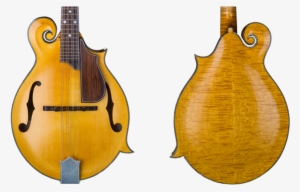 Heiden Stringed Instruments F-style Aritst Mandolin, - Mandolin