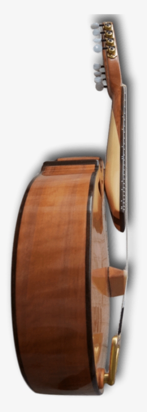 Richard Morgan Lead Mandolin - Mandolin