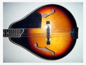 Mandolin