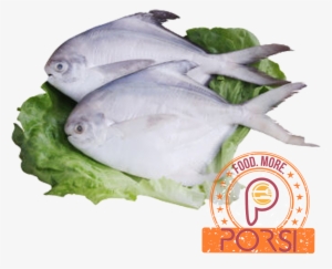 Ikan Bawal - Pampus Argenteus