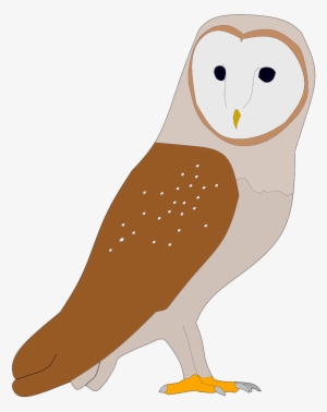 Cheb On Twitter - Screech Owl