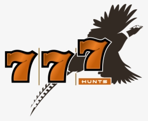 Kansas Pheasant Hunts - Pheasant