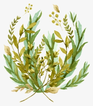 Rice Ear Branch Cartoon Transparent - Illustration