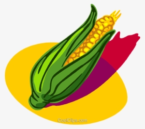 Corn On The Husk Royalty Free Vector Clip Art Illustration - Maize
