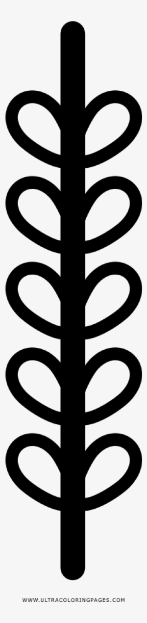 Rice Plant Coloring Page - Coil