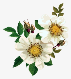 Rice Clipart Gif Transparent - Clip Art