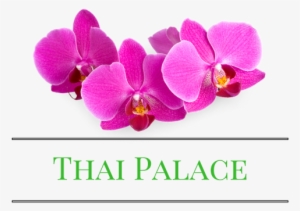 Thai Palace Best Thai Food In Town - Pursonic Cr360 Battery Operated Callus Remover, White