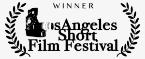 Lasff2017winner - Video Camera
