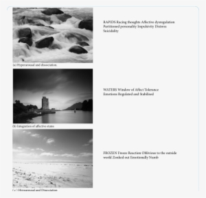 Model Of Altered Levels Of Arousal Dissociation And - Narrow Water Castle