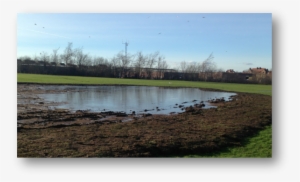 Work Underway On The Wetland Zone In Hailes Quarry - Tree