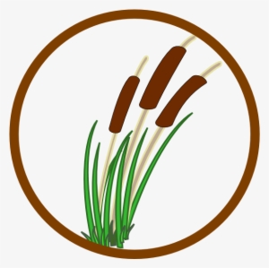 Marsh Clipart