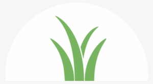 Wetland Mitigation - Circle