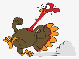Funny Turkey Pictures - Running Turkey