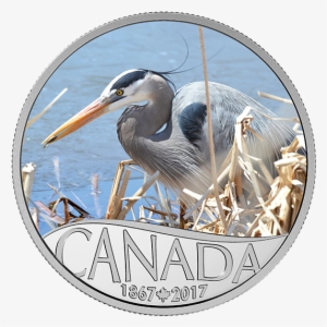 Pure Silver Coloured Coin Celebrating Canada's 150th