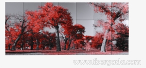 Cuadro Dimensions Blanco Y Negro-rojo - Red