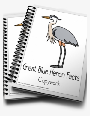 Great Blue Heron Color And Copywork - Income Tax School Certificate