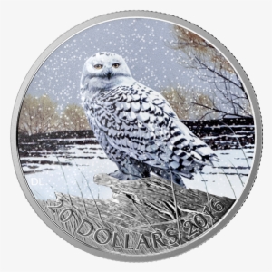Picture Of - Silver Snowy Owl Coin