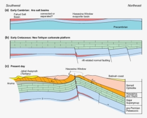 Simplified Cartoon To Illustrate One Possible Origin - Cambrian