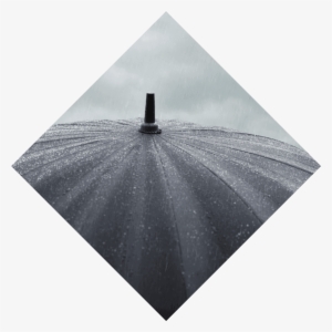 Secure Online Portal - Umbrella