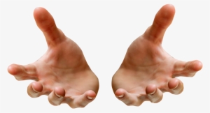 Png Mão - Hand Png