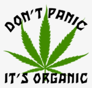 Photo - Funny Cannabis