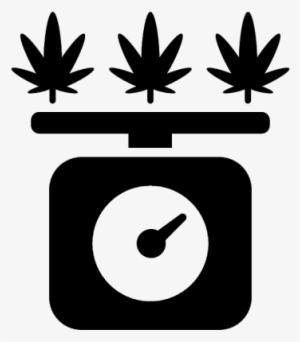Weighing The Marijuana Vector