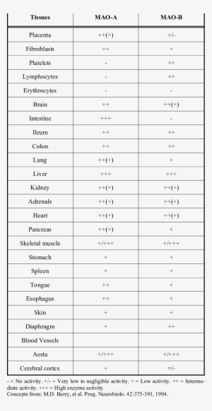 Tissue Distribution Of Monoamine Oxidase In Humans - Number