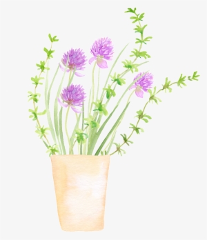 Spring Growing Plant Cartoon Transparent - Room