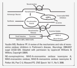 The Mechanism Of The Cheese Reaction And Ne Release - Circle