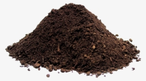 How To Plant Potatoes All You Need To Know About Growing - Humus Earth Science Definition