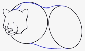 How To Draw Bear - Drawing