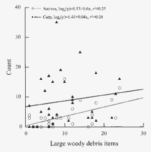 Relationship Between Carp And Large Woody Debris (lwd) - Plot