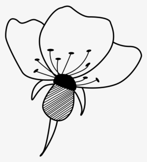 Dibujo De Flor, Descarga Este Recurso Gratis Y Libre - Drawing