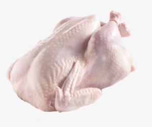Frozen/ Chilled Whole Chicken - Chicken Skin Out Png