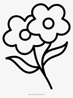 Dibujo De Flores Para Colorear - Flor Para Colorir Png