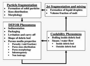 Debris Bed Formation Phenomena Feedback - Bed
