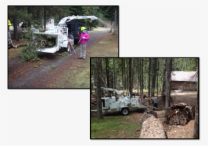 Finally, A Wood Chipping Crew Will Be Available To - Tree