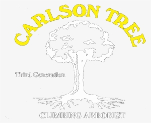 Residential Tree Trimming & Removal Service - Carlson Tree Service