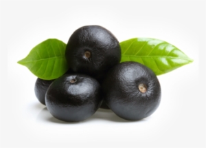 À La Découverte De L'açaï - Acai Berry