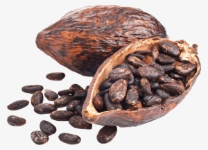 Personalised Chocolate Box Quotes - Combi Protein Shake - Kakao