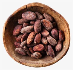 Cooperative, Goground Beans &spices - Comment On Fabrique Le Chocolat