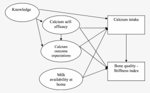 Hypothesized Pathways Between The Psychosocial Variables - Korg
